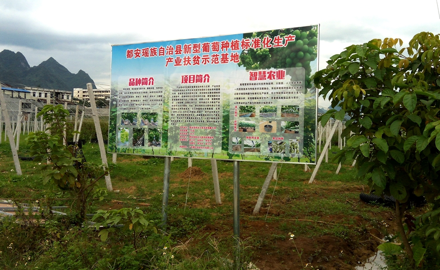 都安产业扶贫示范基地智慧农业标准化生产